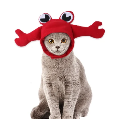 Moda invierno suave cálido gato perro sombrero lindo cangrejo rana mascota sombreros productos de ropa para mascotas